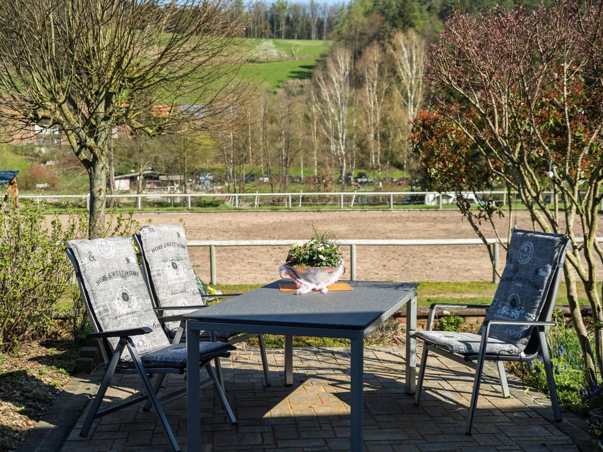 Apartment In The Odenwald With Terrace Mossautal 외부 사진